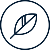 Livaeco by Birla Cellulose Viscose