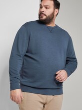 Schlichtes Sweatshirt - Männer - Sky Captain Blue Schlichtes Sweatshirt - Männer - Sky Captain Blue - 5 - Men Plus