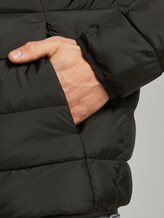 Morderne lightweight Steppjacke - Männer - Black Morderne lightweight Steppjacke - Männer - Black - 9 - TOM TAILOR Denim
