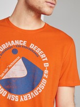 T-Shirt mit Wüsten-Print - Männer - true orange T-Shirt mit Wüsten-Print - Männer - true orange - 9 - TOM TAILOR
