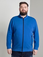 Sweatjacke mit Stehkragen - Männer - victory blue Sweatjacke mit Stehkragen - Männer - victory blue - 1 - Men Plus