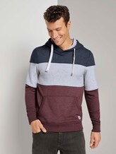 Hoodie mit Colorblock-Streifen - Männer - Dusty Wildberry Red Hoodie mit Colorblock-Streifen - Männer - Dusty Wildberry Red - 1 - TOM TAILOR