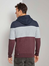 Hoodie mit Colorblock-Streifen - Männer - Dusty Wildberry Red Hoodie mit Colorblock-Streifen - Männer - Dusty Wildberry Red - 2 - TOM TAILOR
