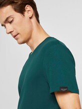 Basic Shirt mit V-Ausschnitt - Männer - Stroke Green Basic Shirt mit V-Ausschnitt - Männer - Stroke Green - 9 - TOM TAILOR