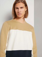 Sweatshirt im Colour Blocking - Männer - lark beige Sweatshirt im Colour Blocking - Männer - lark beige - 9 - TOM TAILOR Denim