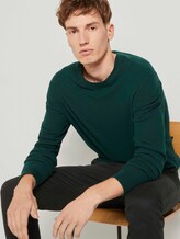 Strukturierter Strickpullover - Männer - Deep Green Lake Strukturierter Strickpullover - Männer - Deep Green Lake - 5 - TOM TAILOR Denim