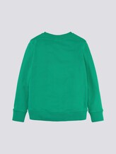 Sweatshirt mit Print - Jungen - kids holly green Sweatshirt mit Print - Jungen - kids holly green - 8 - Tom Tailor E-Shop Kollektion
