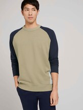 sweater met kleurblokkering - Mannen - Silver Olive sweater met kleurblokkering - Mannen - Silver Olive - 5 - TOM TAILOR Denim