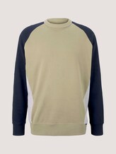 sweater met kleurblokkering - Mannen - Silver Olive sweater met kleurblokkering - Mannen - Silver Olive - 7 - TOM TAILOR Denim