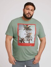 T-Shirt mit Fotoprint - Männer - mint green grindle melange T-Shirt mit Fotoprint - Männer - mint green grindle melange - 1 - Men Plus