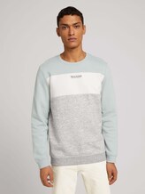 Sweatshirt mit Print - Männer - white moss Sweatshirt mit Print - Männer - white moss - 1 - TOM TAILOR Denim