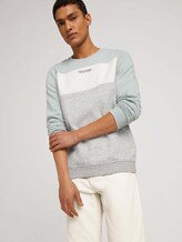 Sweatshirt mit Print - Männer - white moss Sweatshirt mit Print - Männer - white moss - 5 - TOM TAILOR Denim