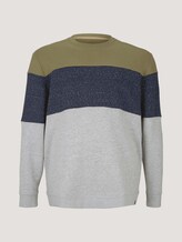 Sweatshirt met Colour Blocking - Mannen - Oak Leaf Green Sweatshirt met Colour Blocking - Mannen - Oak Leaf Green - 7 - Men Plus