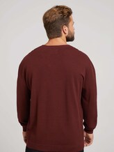 Strukturierter Pullover mit Bio-Baumwolle - Männer - Decadent Bordeaux Strukturierter Pullover mit Bio-Baumwolle - Männer - Decadent Bordeaux - 2 - Men Plus