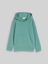 TOM TAILOR Jungen Hoodie Sweatshirt mit Rückenprint, grün, Uni, Gr. 92/98