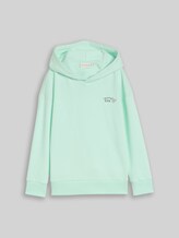 TOM TAILOR Jungen Oversize Hoodie Sweatshirt mit Rückenprint, grün, Uni, Gr. 92/98