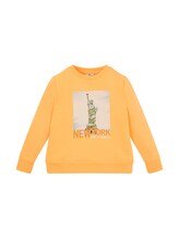 TOM TAILOR Jungen Sweatshirt mit Print, orange, Print, Gr. 92/98