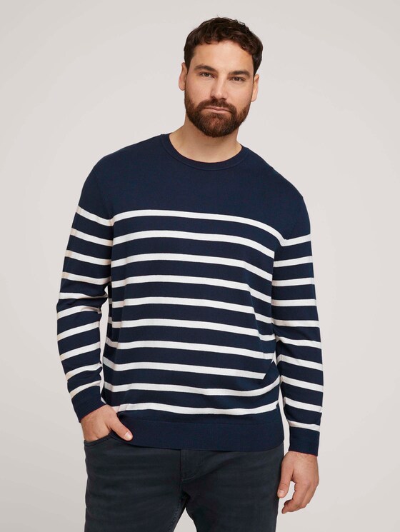 gestreiftes Sweatshirt mit Bio-Baumwolle - Männer - Blue White Stripe gestreiftes Sweatshirt mit Bio-Baumwolle - Männer - Blue White Stripe - 1 - Men Plus