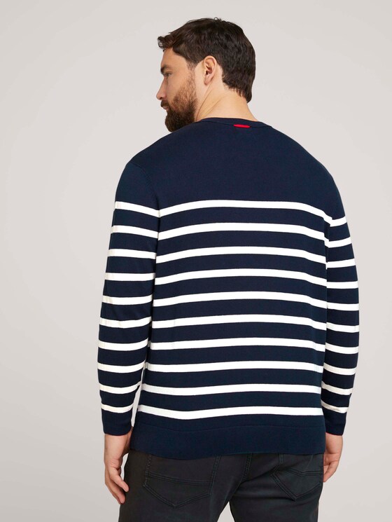 gestreiftes Sweatshirt mit Bio-Baumwolle - Männer - Blue White Stripe gestreiftes Sweatshirt mit Bio-Baumwolle - Männer - Blue White Stripe - 2 - Men Plus