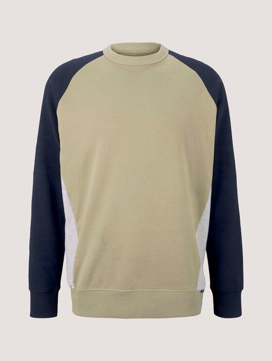 sweater met kleurblokkering - Mannen - Silver Olive sweater met kleurblokkering - Mannen - Silver Olive - 7 - TOM TAILOR Denim