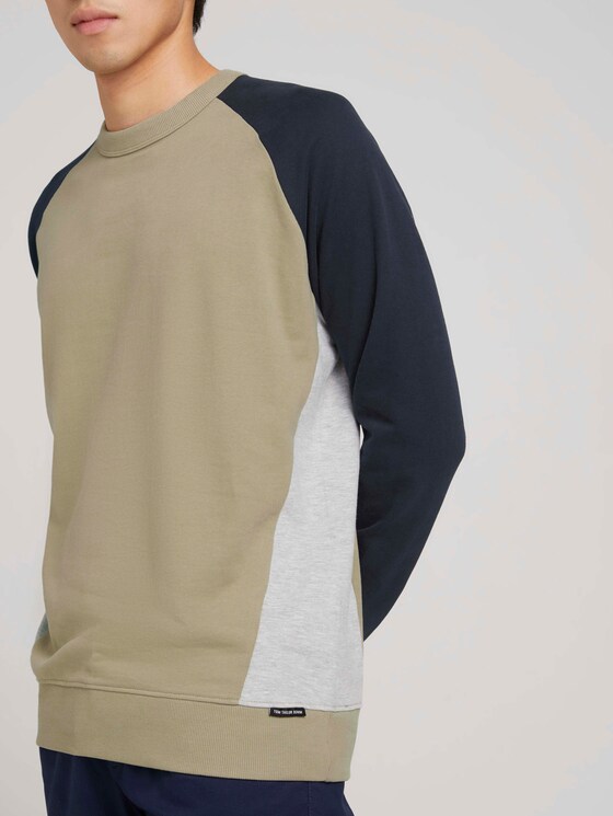 sweater met kleurblokkering - Mannen - Silver Olive sweater met kleurblokkering - Mannen - Silver Olive - 9 - TOM TAILOR Denim