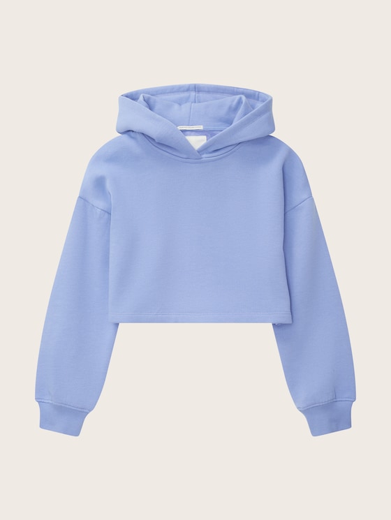 cropped light blue hoodie