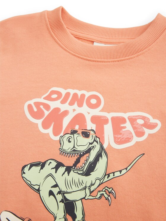 Sweatshirt mit Motiv-Print
