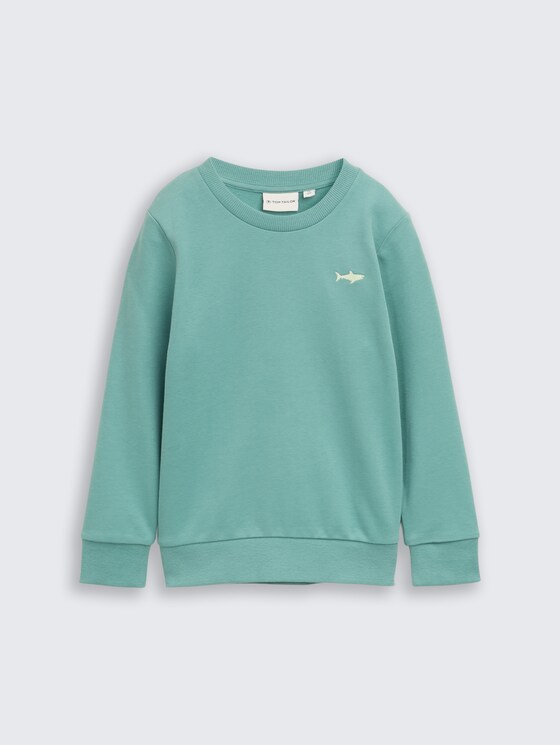 Basic Sweatshirt mit Print von Mini Boys, Salvia