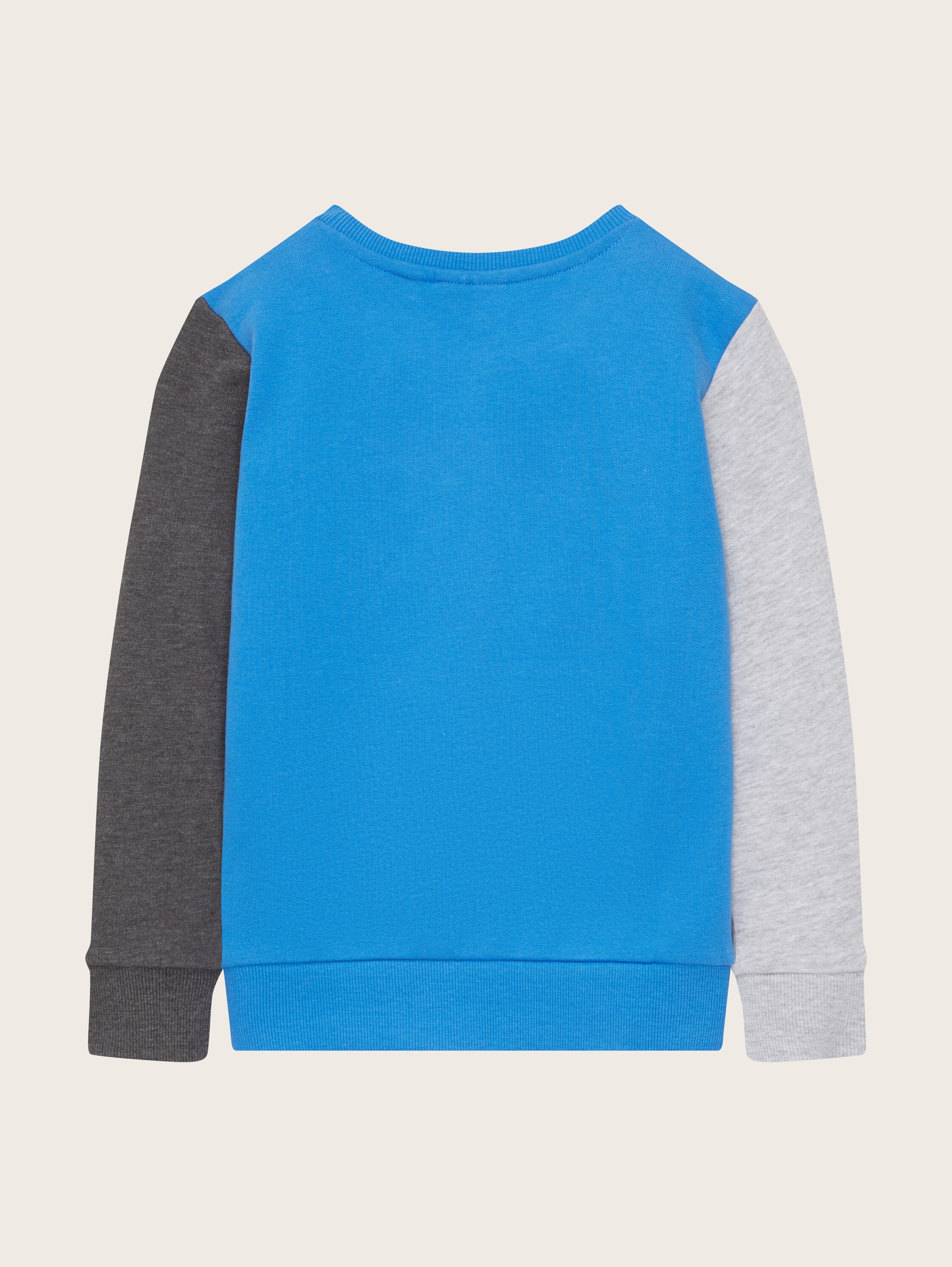 Sweatshirt mit Colour Blocking und Print - 2