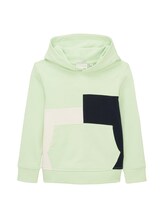 Selected, Hoodie with colour blocking by Tom Tailor, green