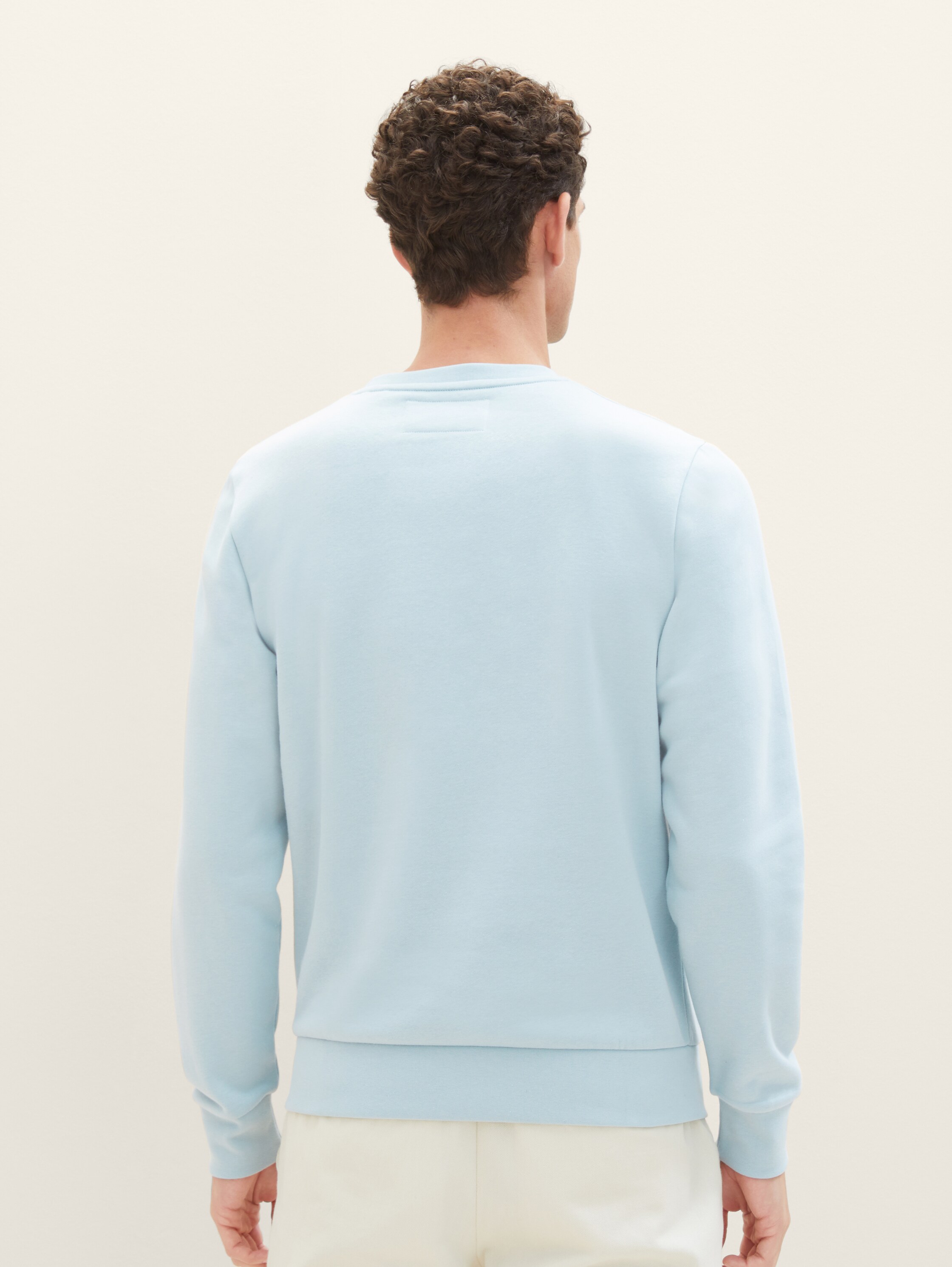 Sweat à imprimé - dusty mint blue - Découpe Vue arrière du modèle