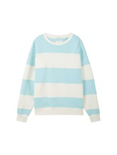 Ausgewählt, Sweatshirt mit Bio-Baumwolle von Tom Tailor, grün