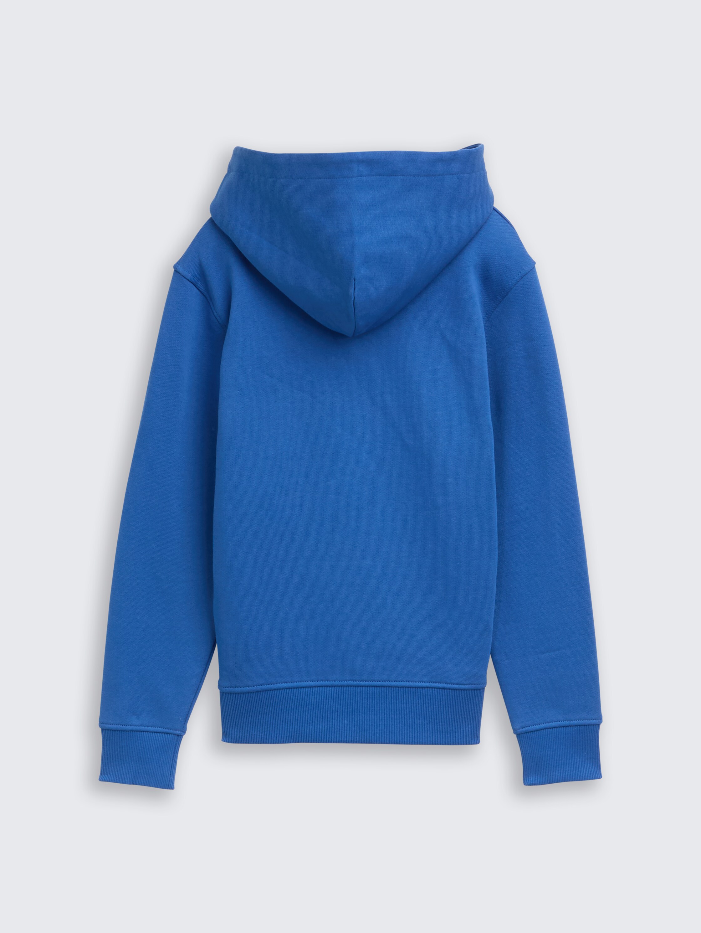 Hoodie sweatshirt with logo print - soft_sapphire_blue -