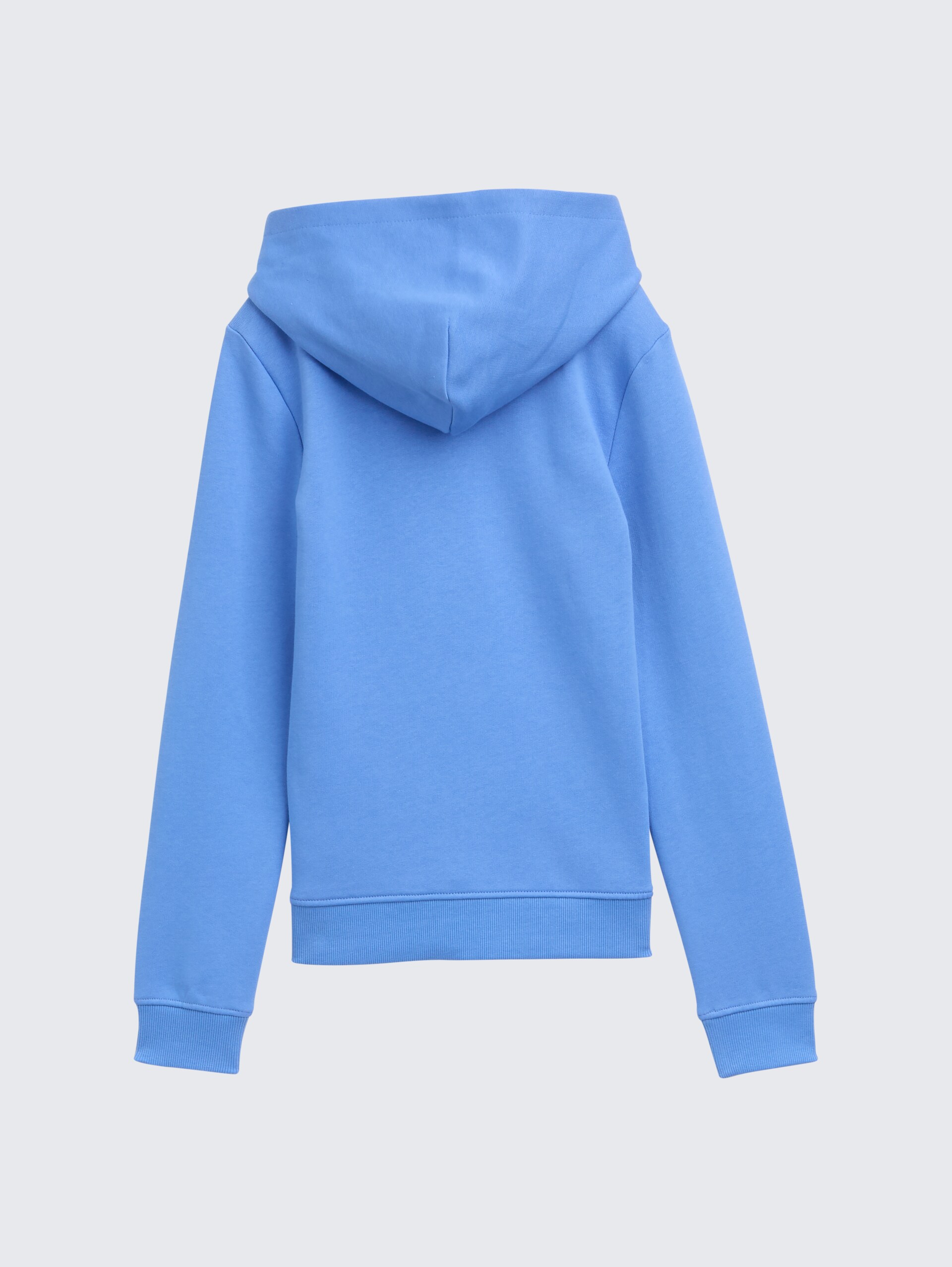 Hoodie Sweatshirt mit Logo-Print - sicilian blue