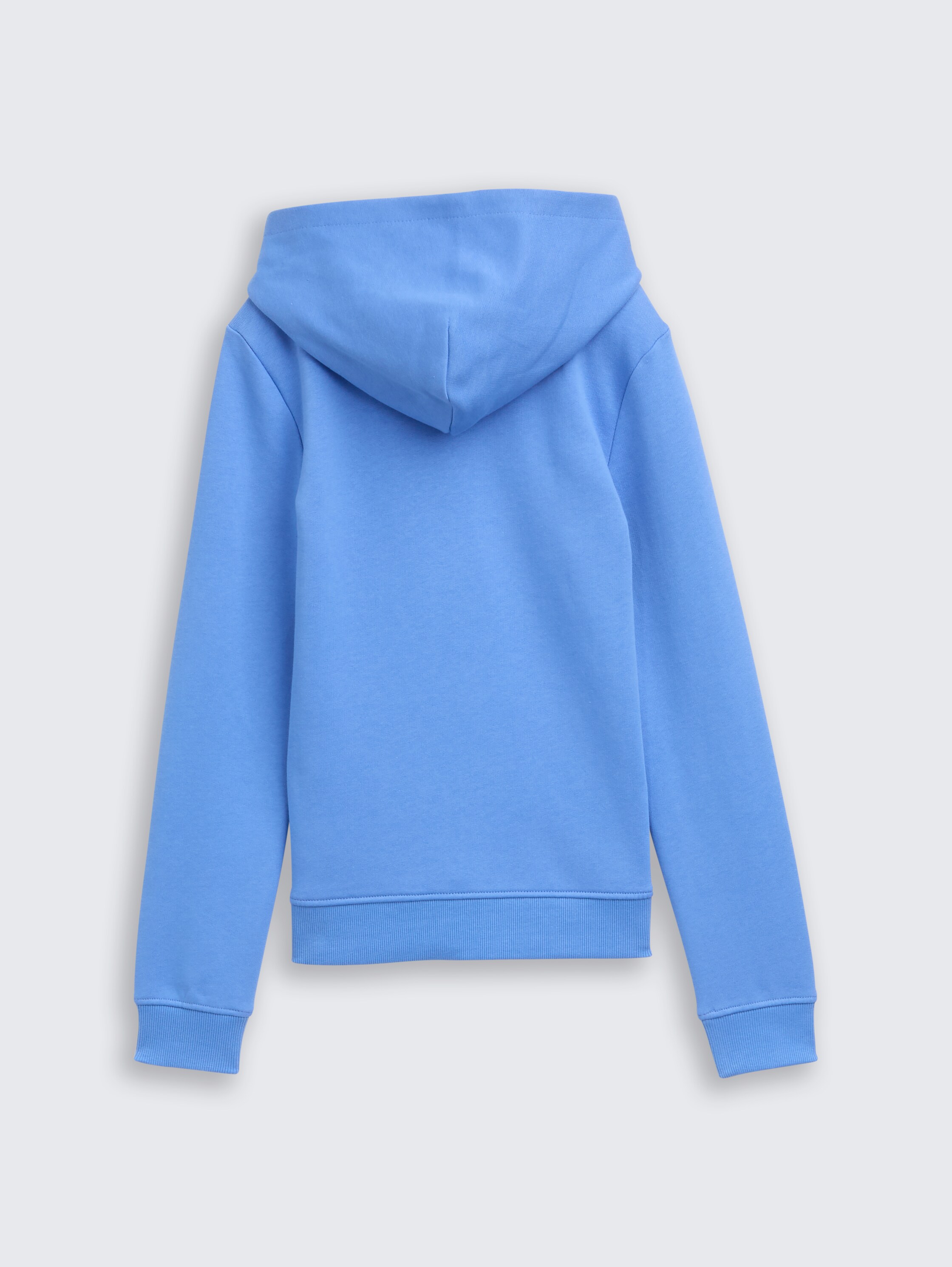 Hoodie sweatshirt with logo print - sicilian_blue - 