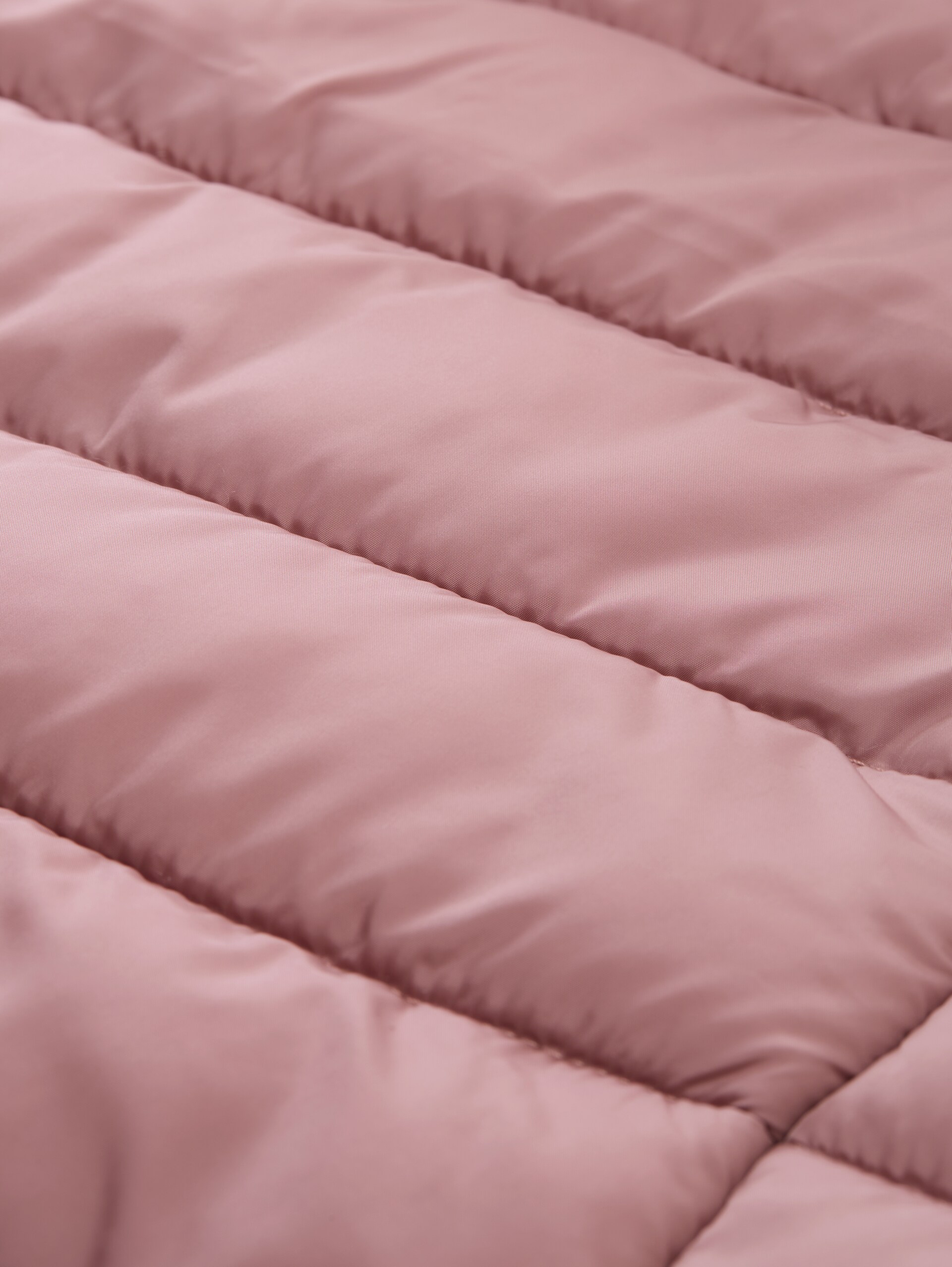 Lightweight Steppjacke mit Kapuze - bristly rose - Produkt-Detail-Ansicht