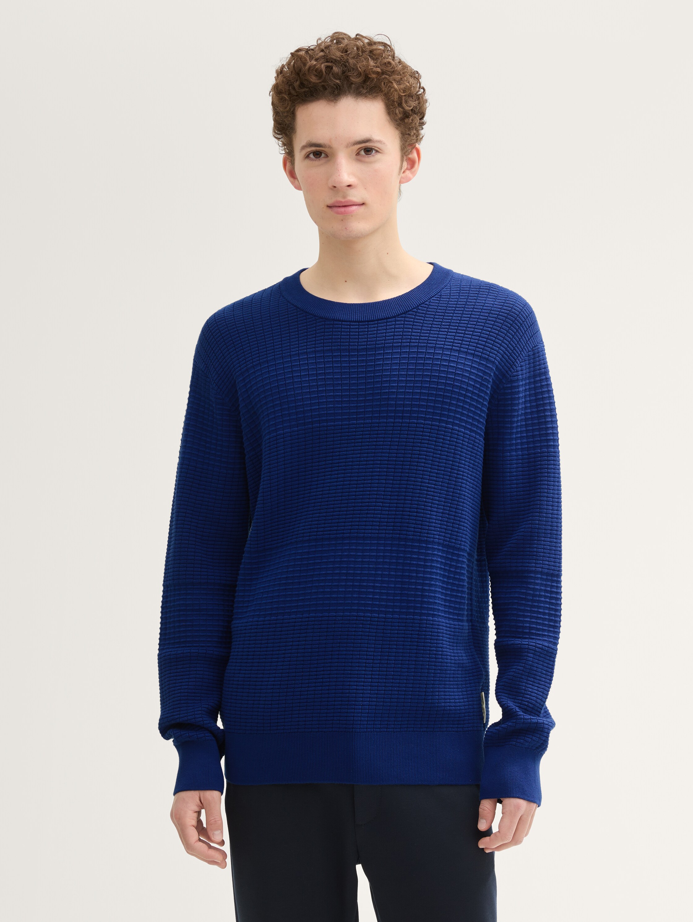 Regular Fit Strickpullover aus Baumwolle - space_cadet_blue - 