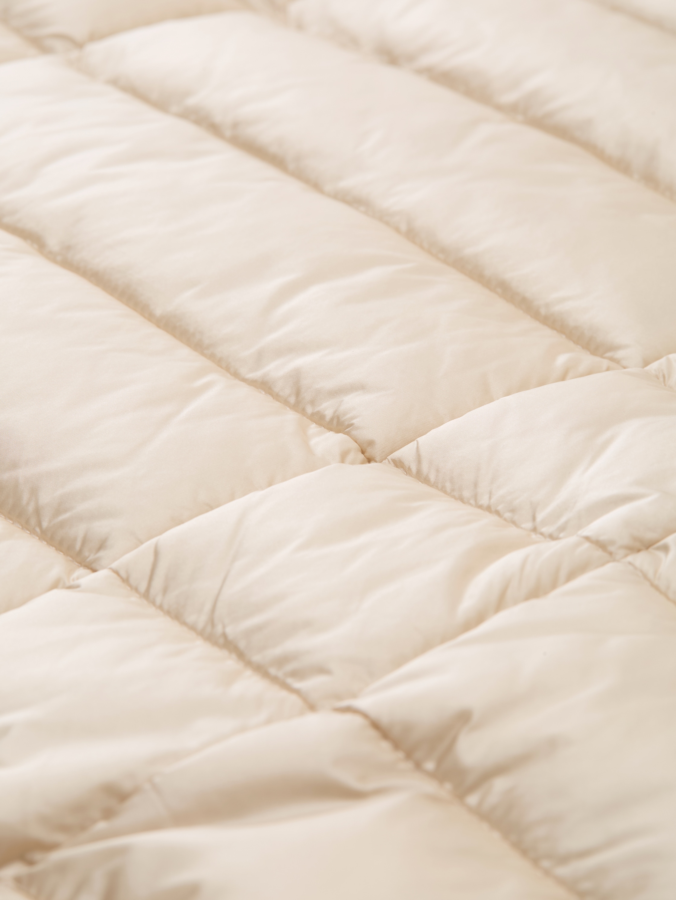 Lichtgewicht gewatteerd jack met waterafstotende functie - sand_stone_beige - 