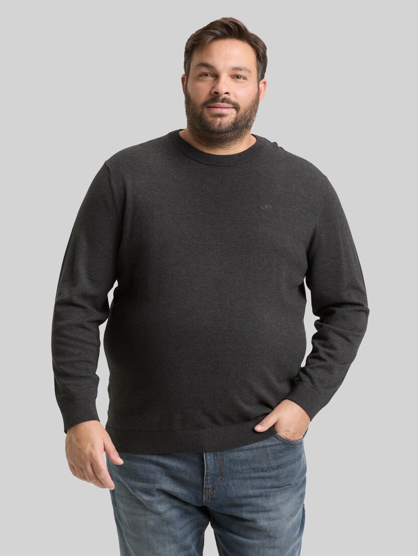 Plus Size - Gebreide trui met geborduurd logo door Men Plus Size, Black Grey Melange