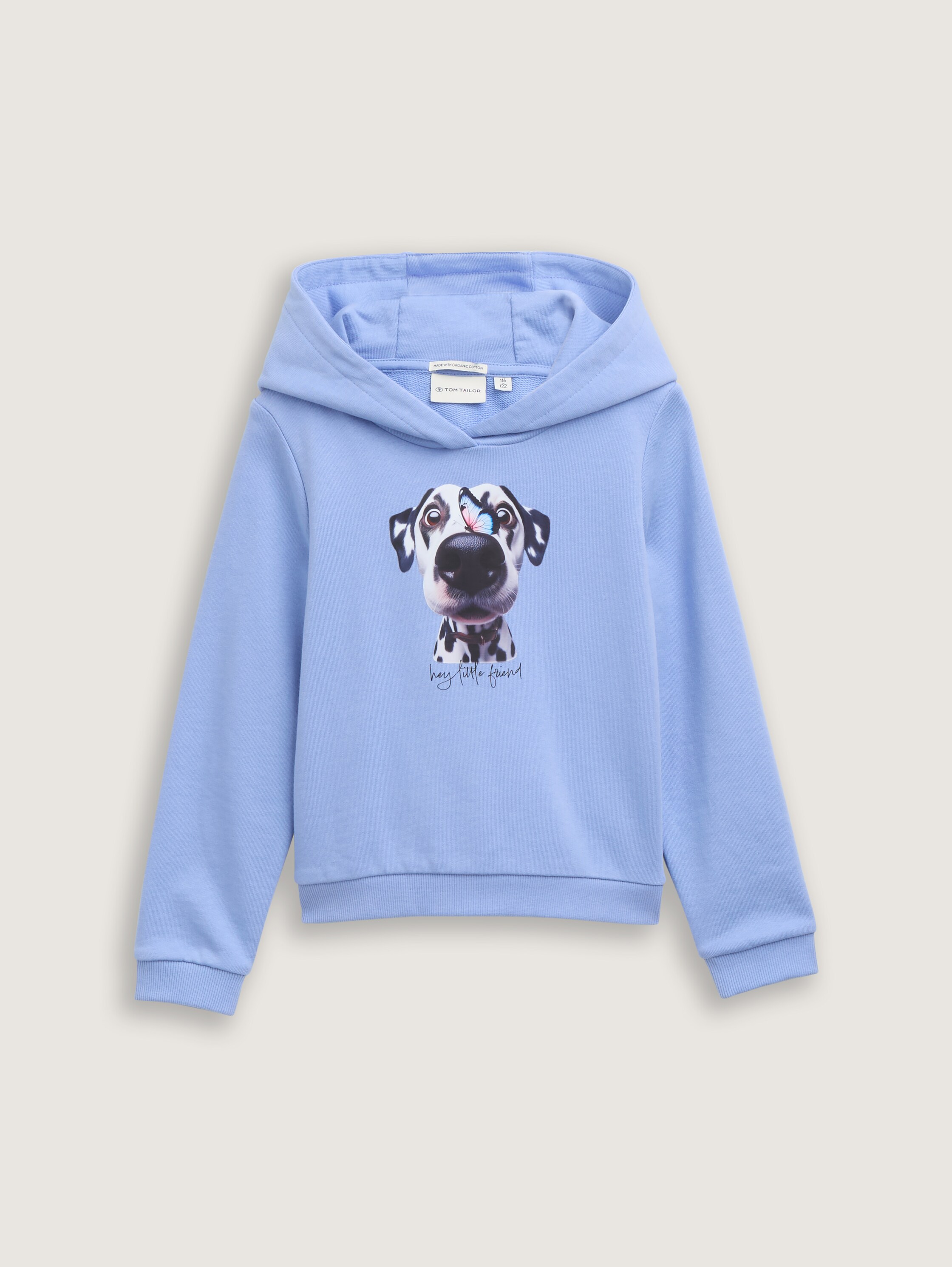 Hoodie Sweatshirt mit Print - dreamy_blue - 