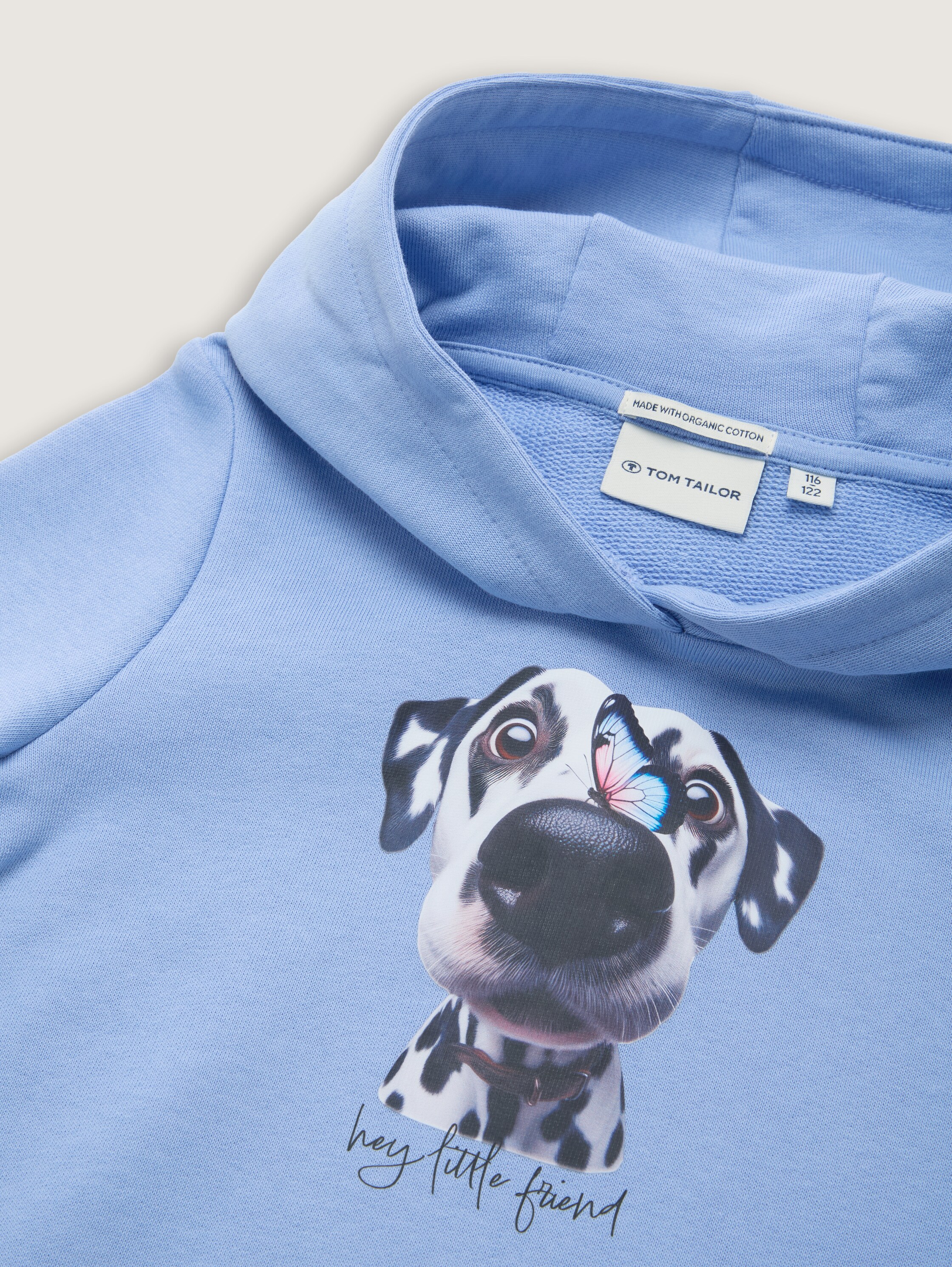 Hoodie Sweatshirt mit Print - dreamy_blue - 