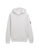 Ausgewählt, Hoodie Sweatshirt von Tom Tailor, grau