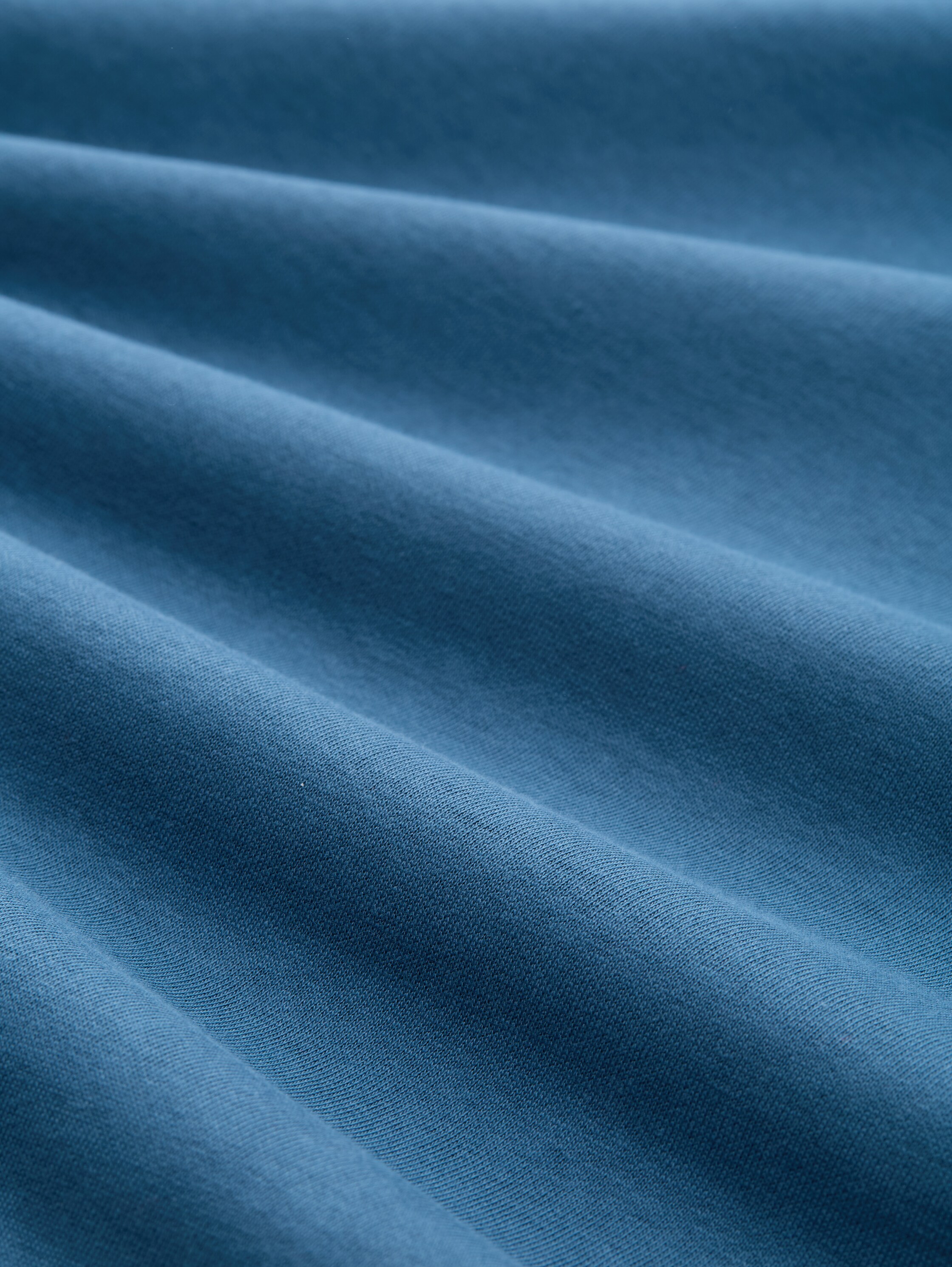 sweat jacket with print - real teal blue - Material view