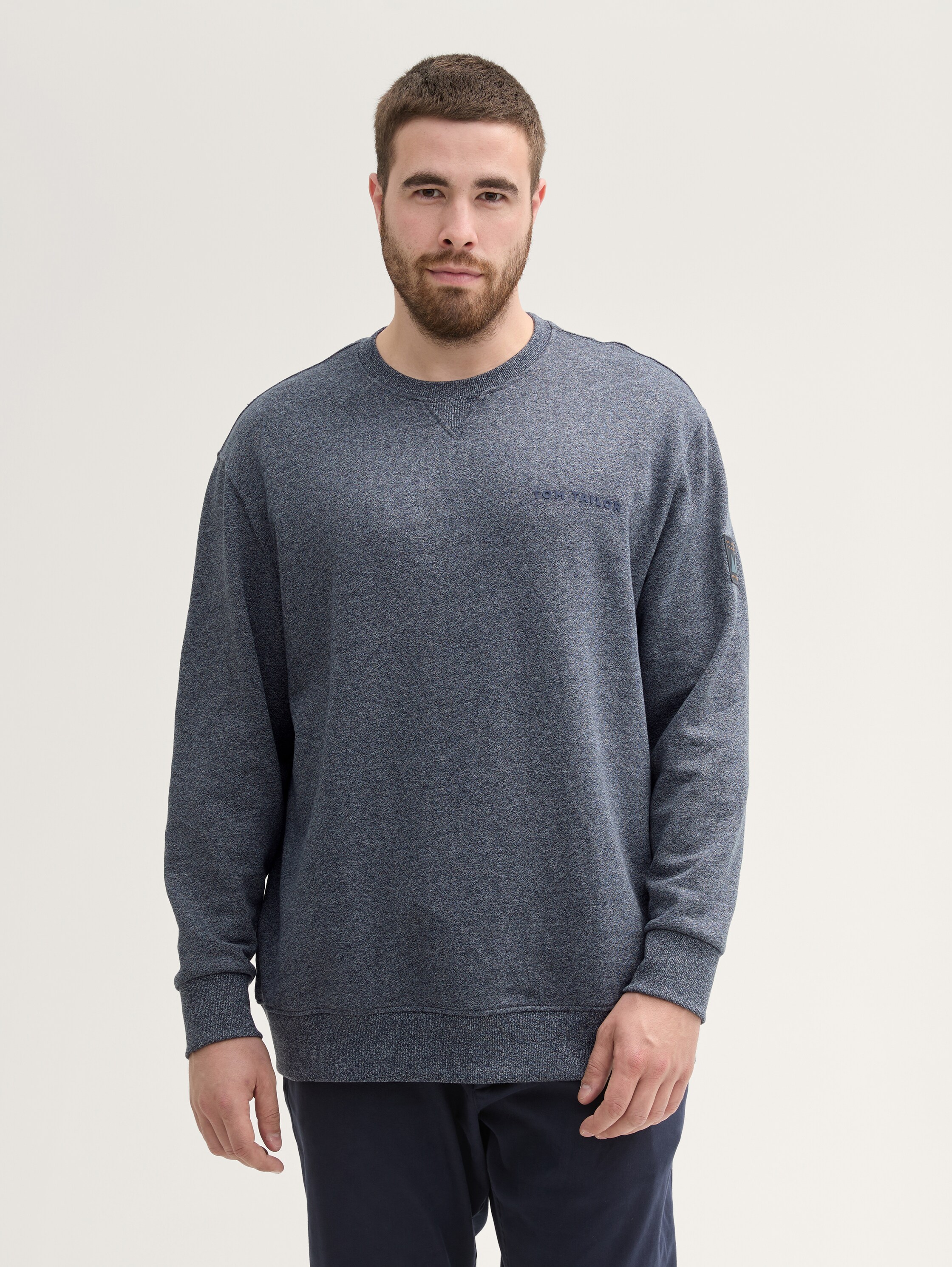 Plus Size - Sweatshirt mit Logo-Details - navy_grindle_structure - 