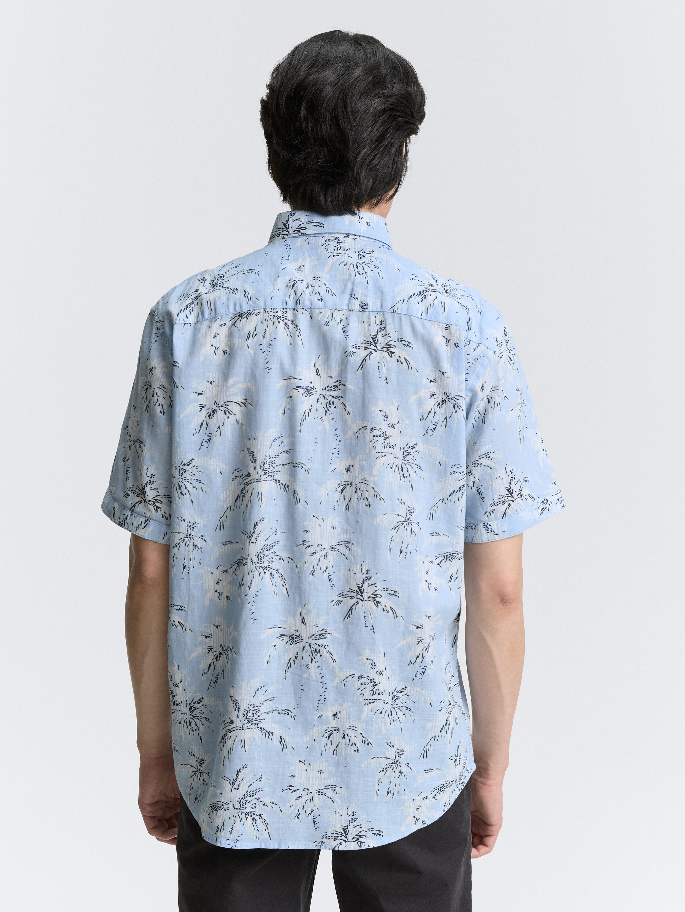 Chemise à manches courtes Regular Fit avec imprimé palmiers - powder_blue_stripe_palm_design - 