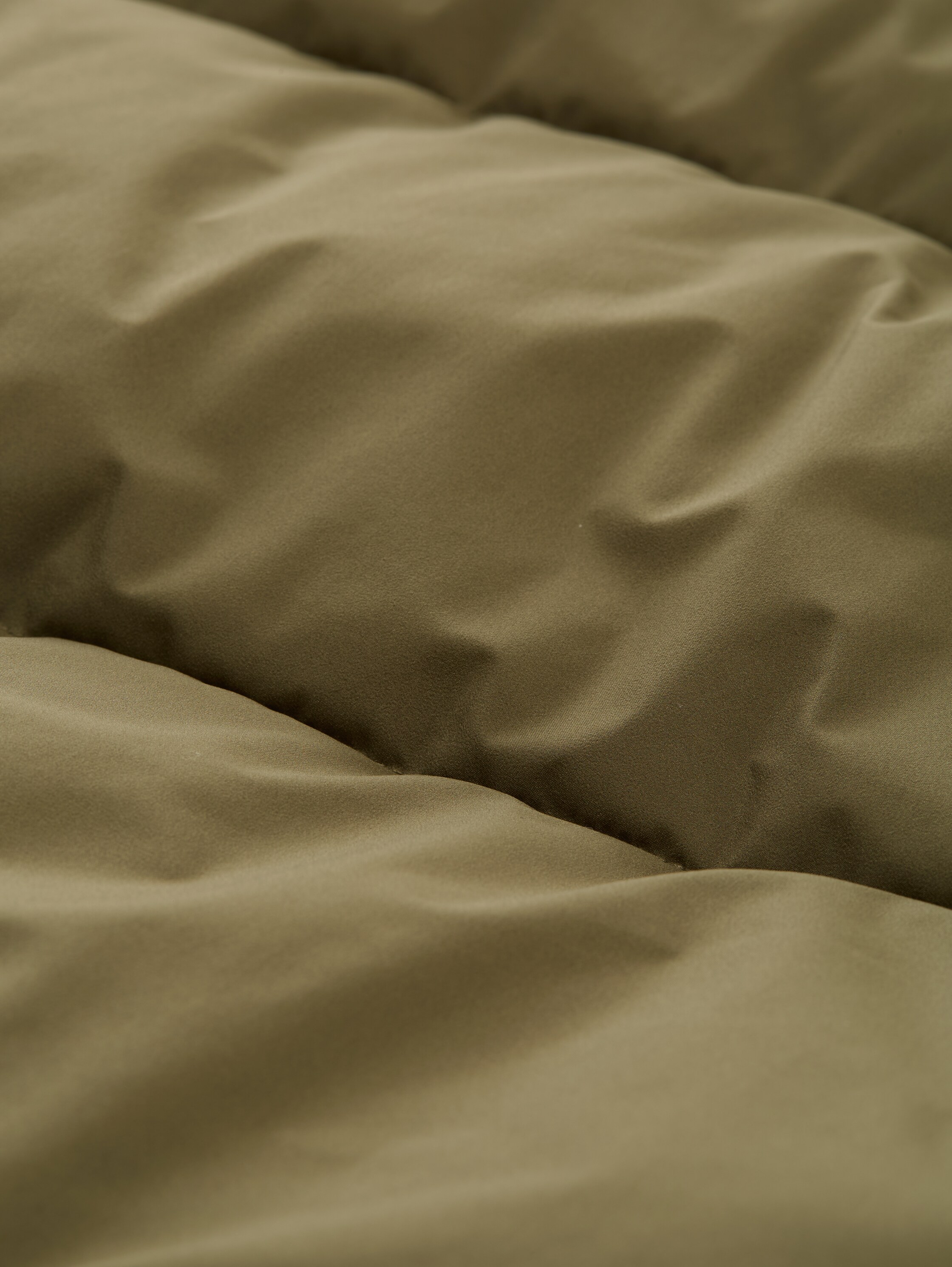 Lightweight Pufferjacke mit Stehkragen - jungle_soil_green - 