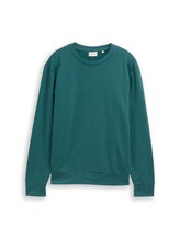 Ausgewählt, Basic Sweatshirt in Unifarben von Tom Tailor, grün