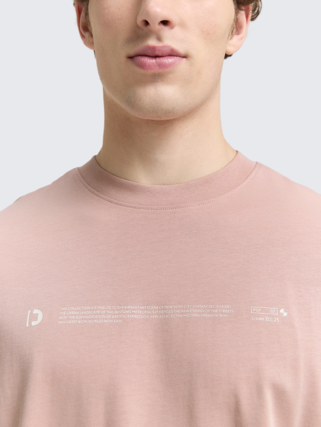 Heavy-Jersey T-Shirt mit Print - smoky rose - Detail-Model-Ansicht