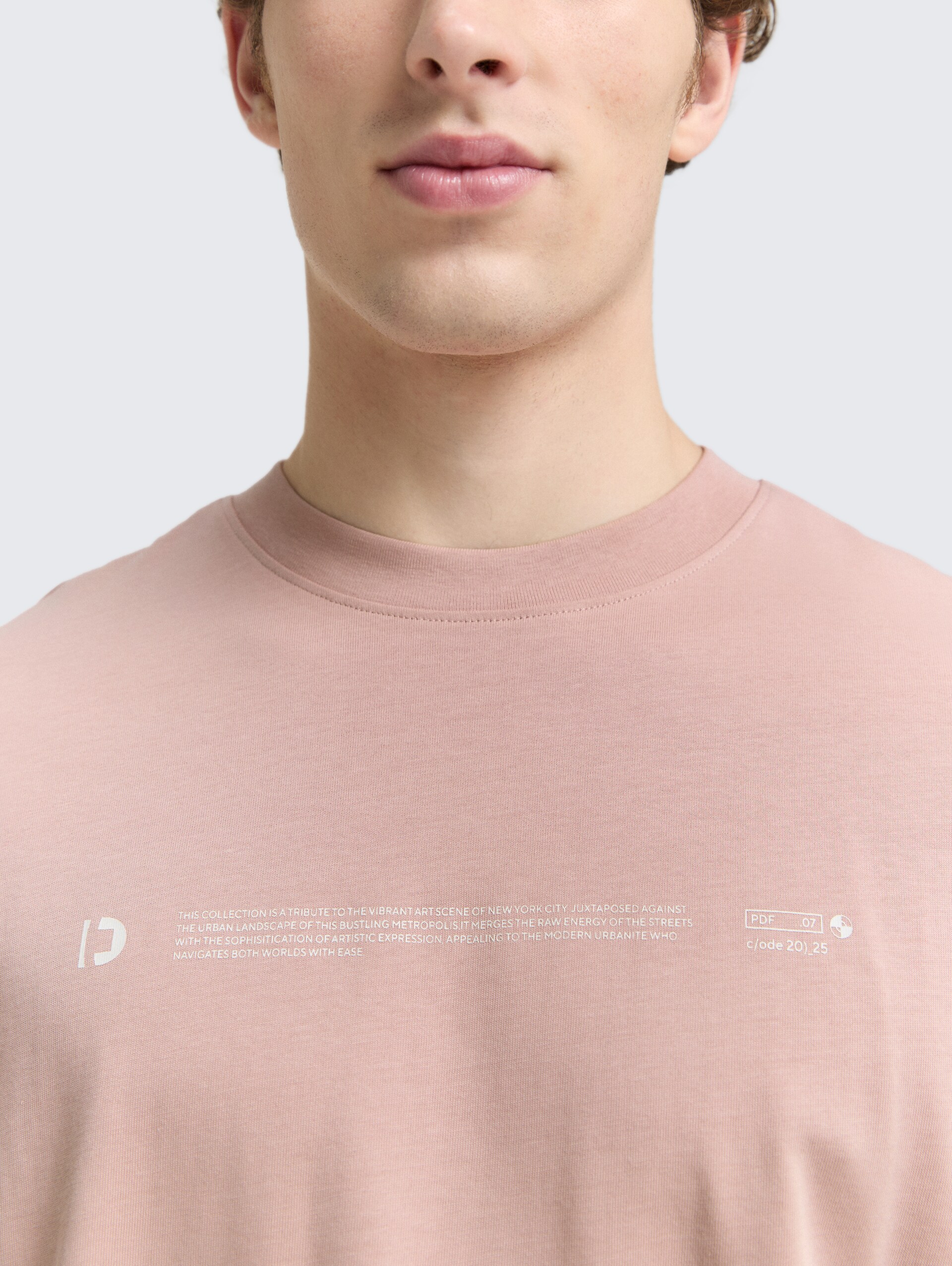 Heavy-Jersey T-Shirt mit Print - smoky rose - Detail-Model-Ansicht