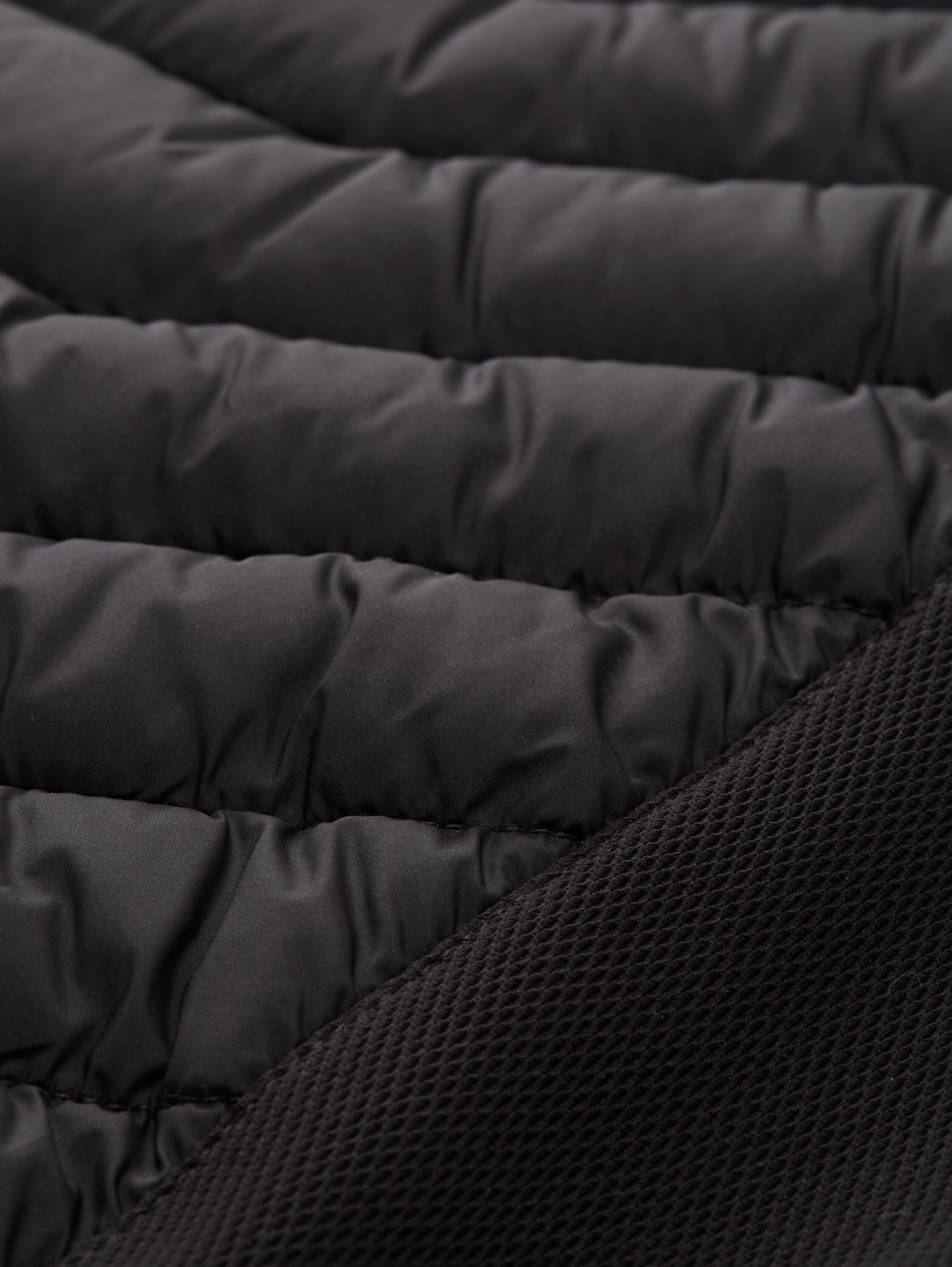 Plus Size - Veste matelassée hybride légère à col montant - black - 